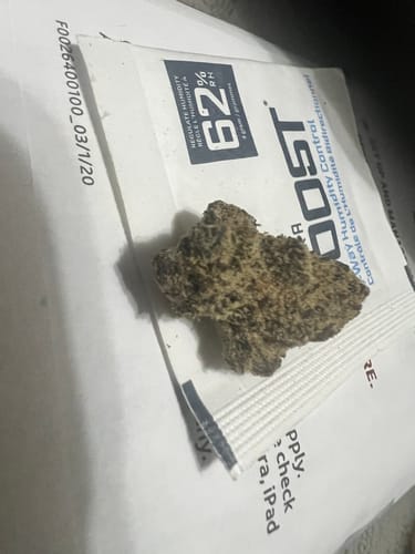 Customer photo review of Lemon Cherry Gelato - THCa Flower