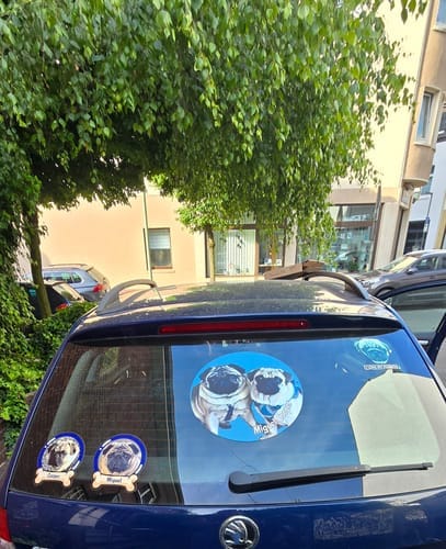 Customer photo review of Pets on board - Personalized Car Sticker