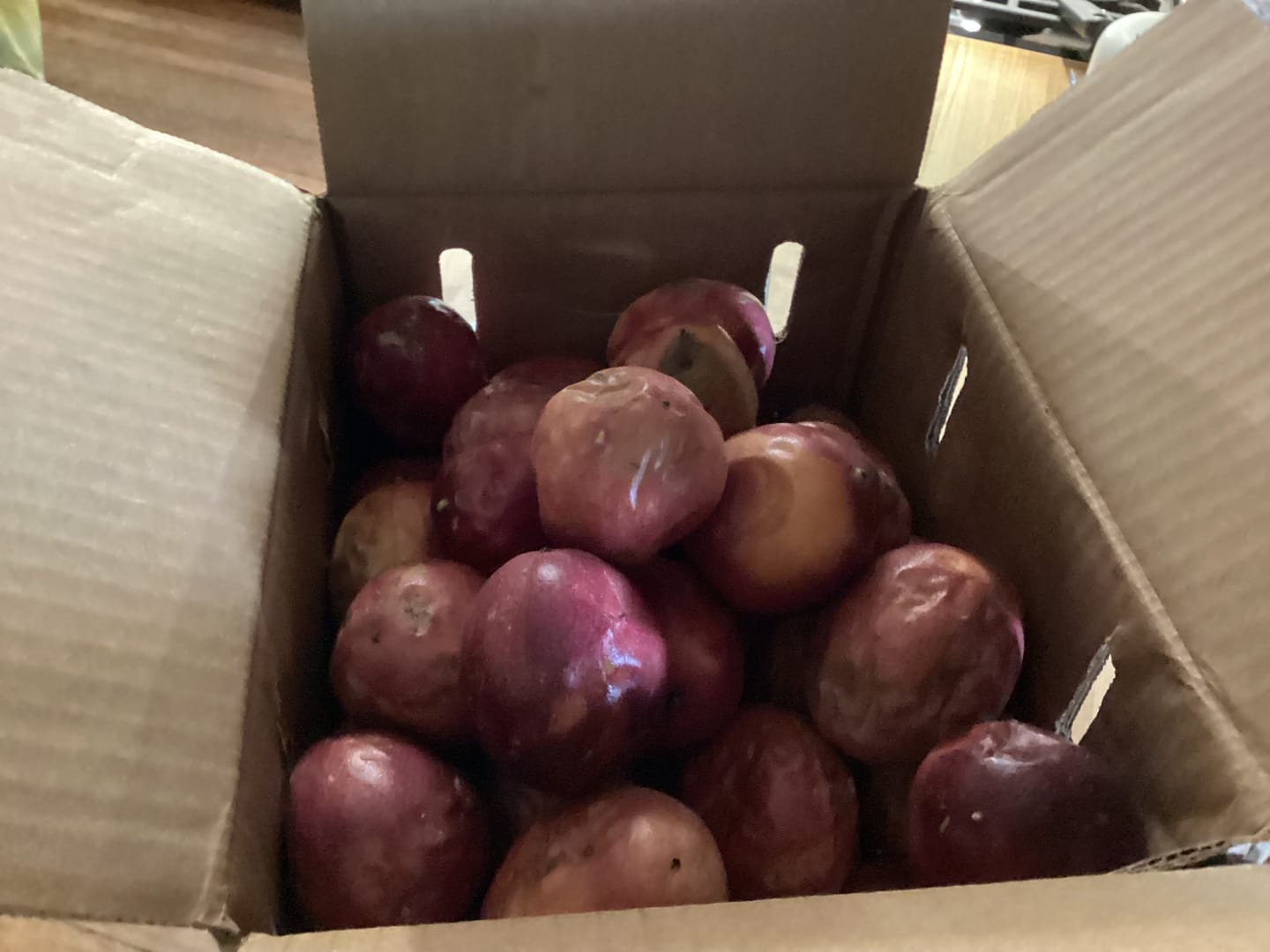 Customer photo review of Purple/Pink Passionfruit (Lilikoi)