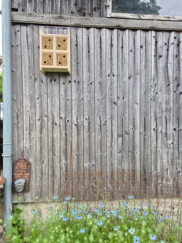 Customer photo review of BeeHome Pro