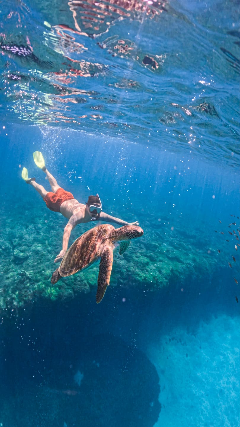 Customer photo review of Máscara de Mergulho Antiembaçamento Com Snorkel Atlantic
