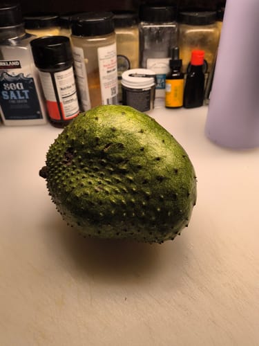 Customer photo review of Soursop