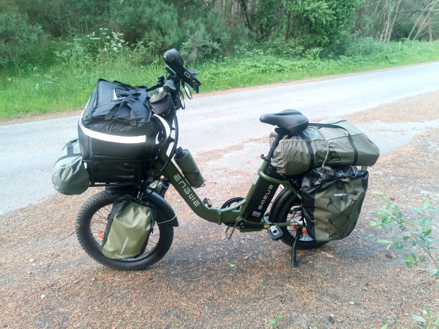 Customer photo review of Engwe L20 SE 250W 20" Foldable Electric Trekking Bike 561Wh Step-through E-bike