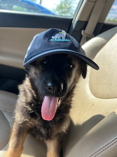 Customer photo review of Dog Track Flight Hat