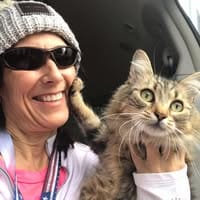 Customer photo review of Feline Biome™ - Probiotic Cat Supplement