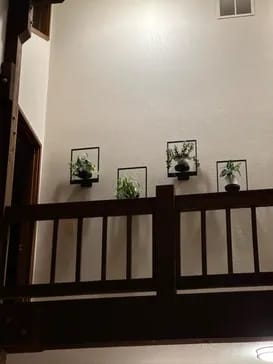 Customer photo review of Planty®