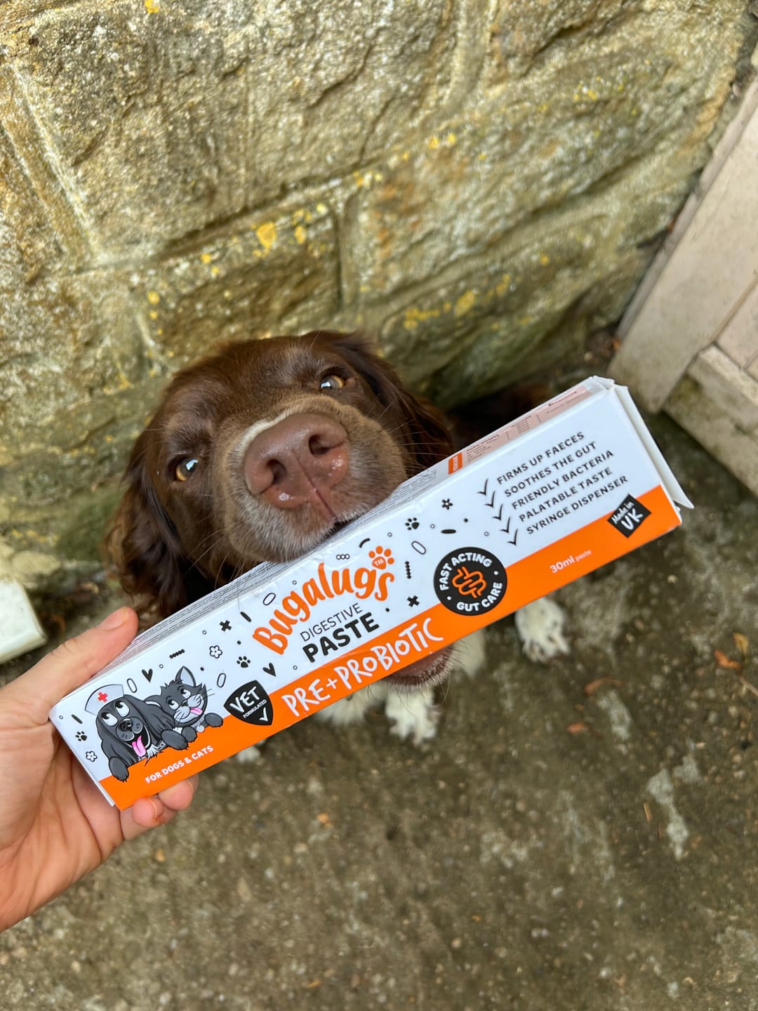Customer photo review of Bugalugs Pre & Probiotic Digestive Paste for Dogs & Cats (30ml)