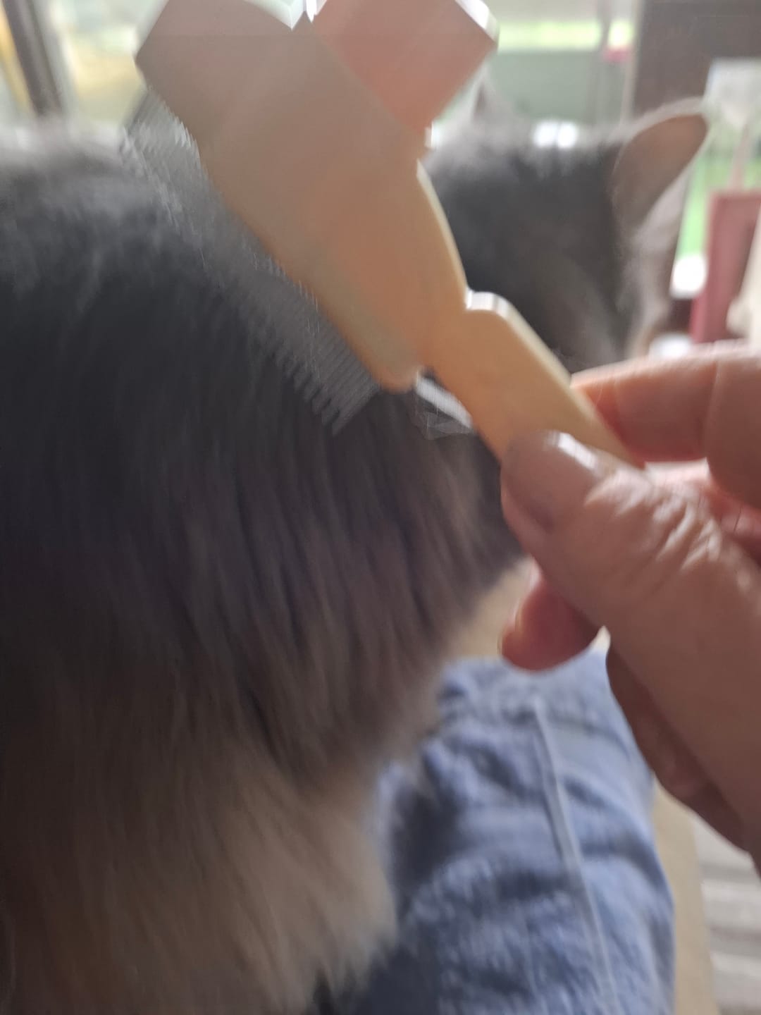 Customer photo review of Fur Lightning Brush