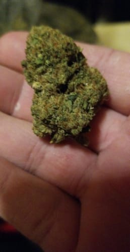 Customer photo review of Cheap THCA Flower Pound