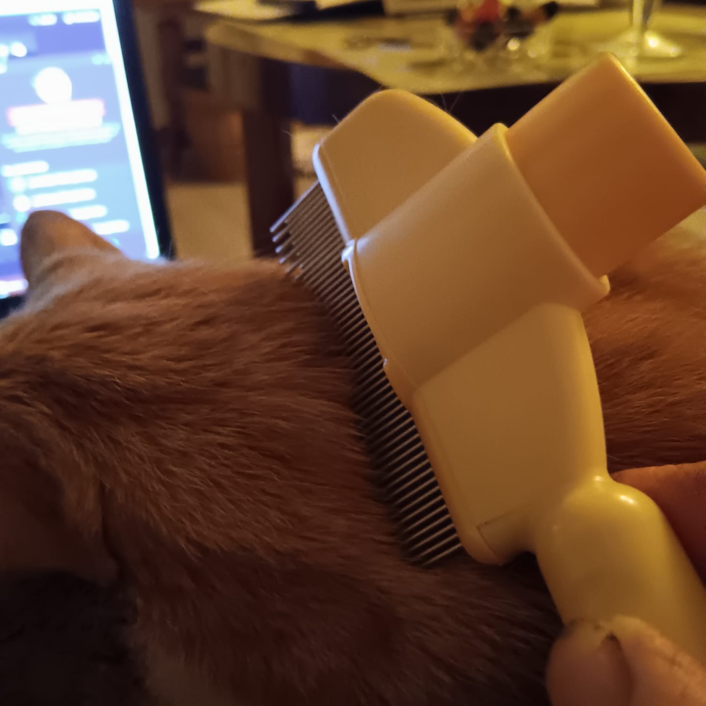 Customer photo review of Fur Lightning Brush