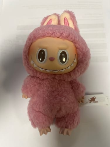 Customer photo review of Pop Mart Labubu The Monsters Tasty Macarons Vinyl Plush Pendant Single Blind Box