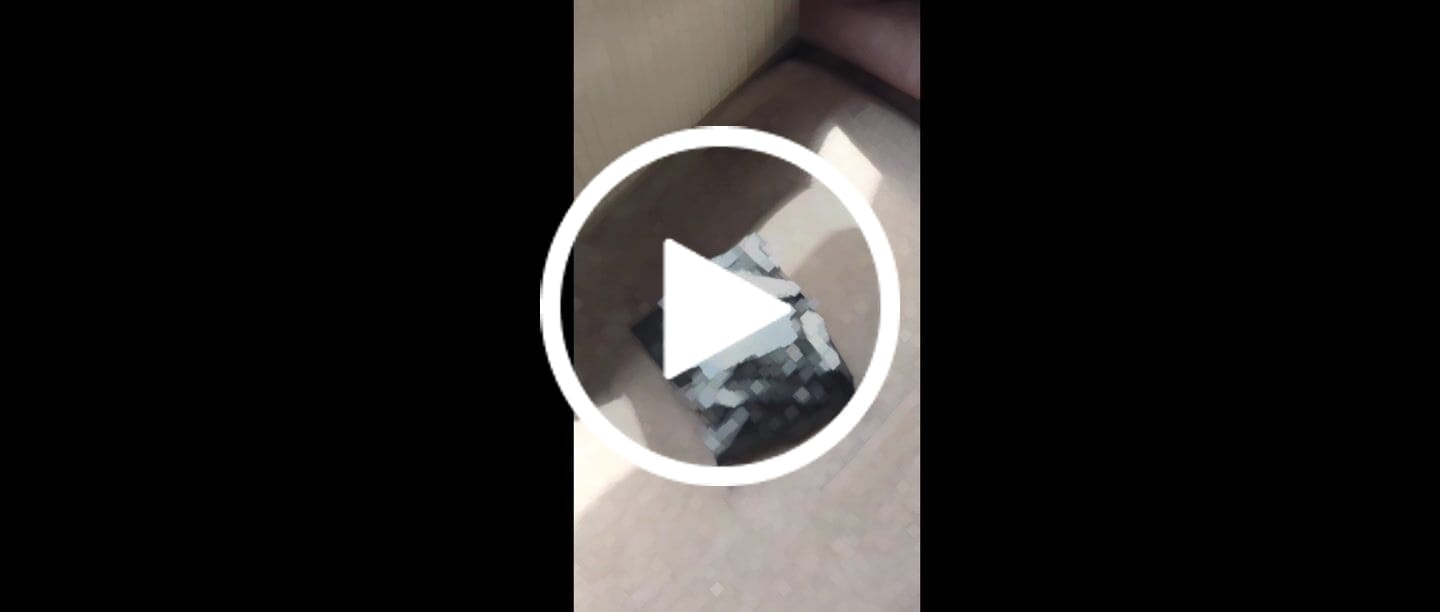 Customer video review of Namnbricka hund - ID tags