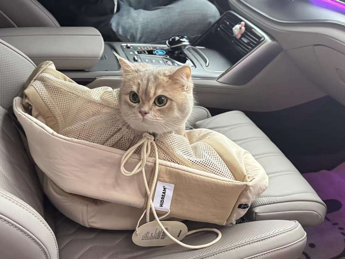 Customer photo review of Wide-Strap Cradle-Style Structured Pet Sling Carrier Bag