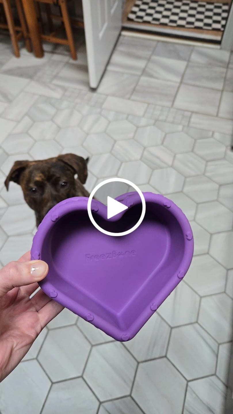 Customer video review of FreezHeart - Durable Heart Enrichment Chew