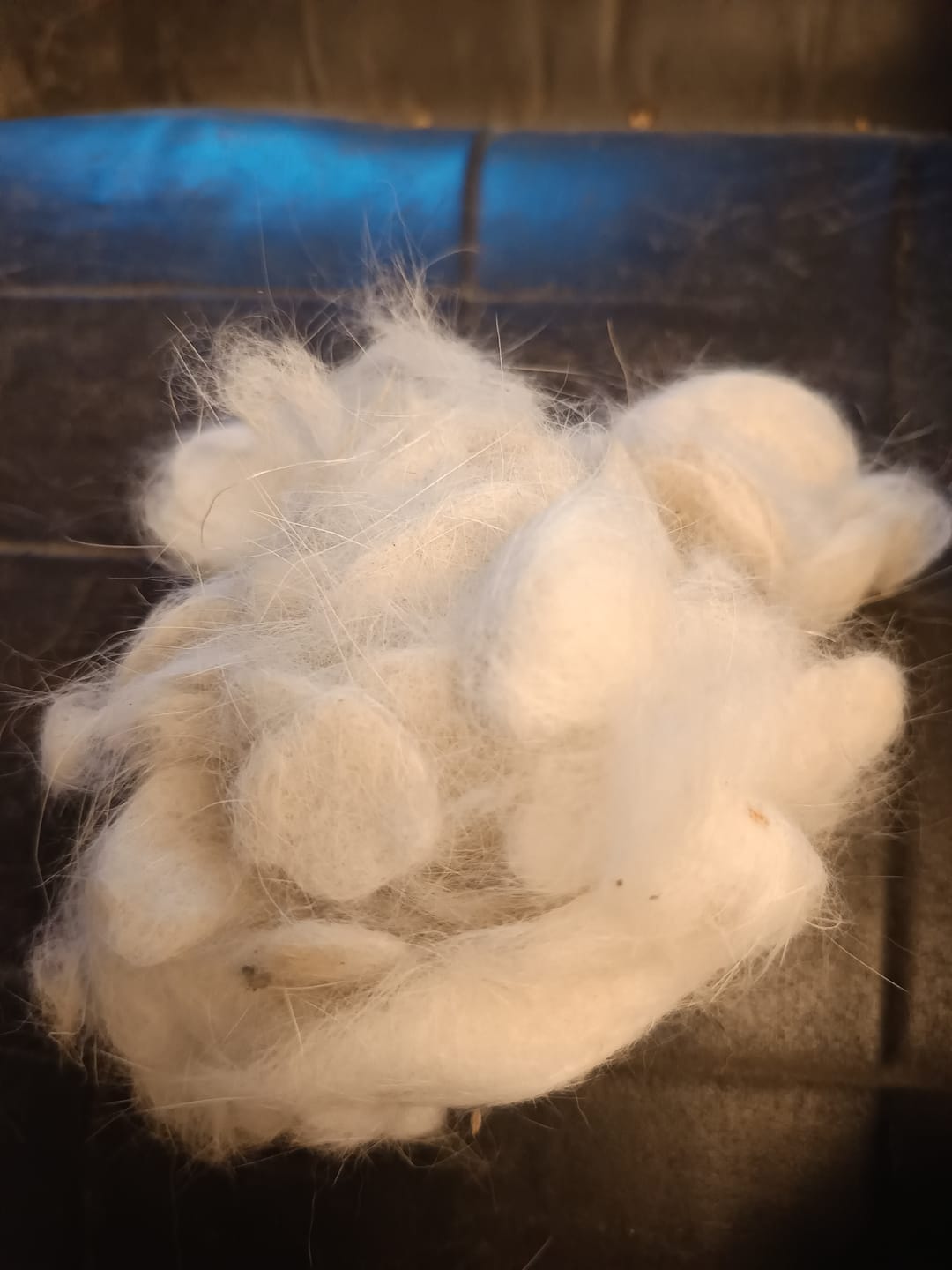 Customer photo review of Fur Lightning Brush