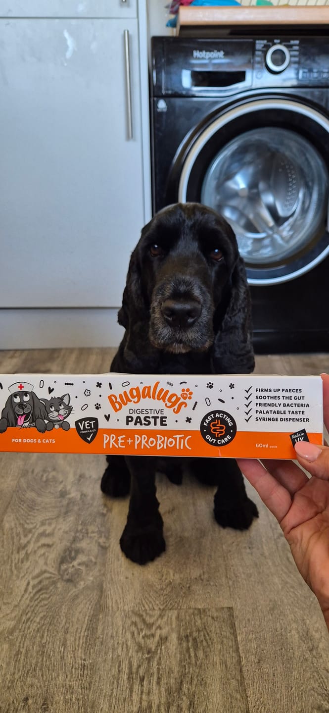 Customer photo review of Bugalugs Pre & Probiotic Digestive Paste for Dogs & Cats (30ml)