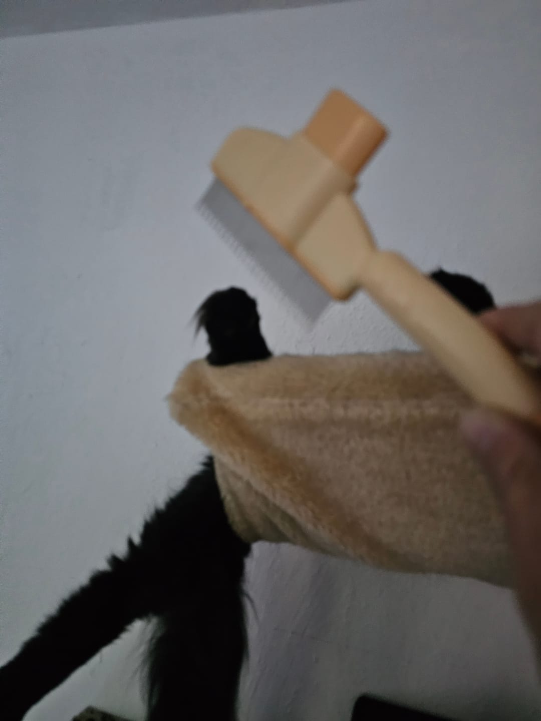 Customer photo review of Fur Lightning Brush