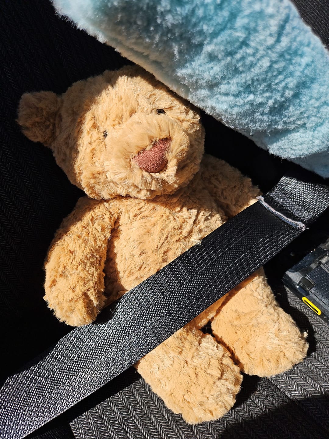 Customer photo review of Jellycat Bartholomew Bear