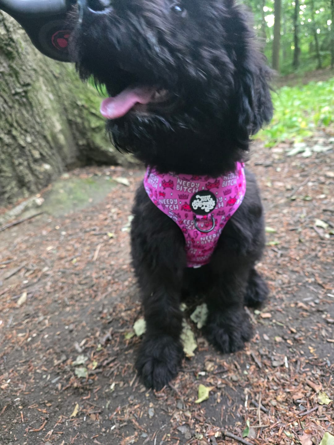Customer photo review of Needy bitch harness
