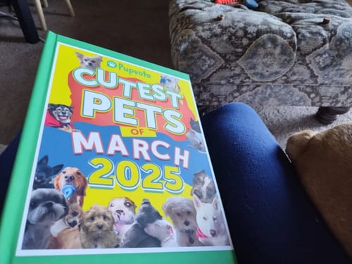 Customer photo review of Cutest Pets of the Month 2025 Photobook