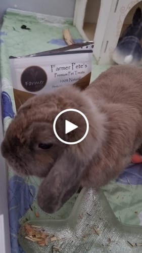 Customer video review of Monday Munchies 15pc