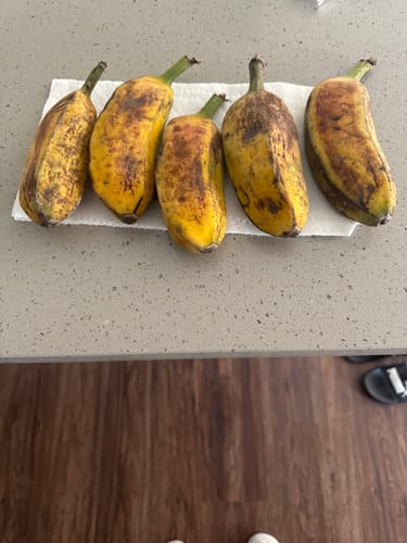 Customer photo review of Burro Banana (Orinoco Banana)