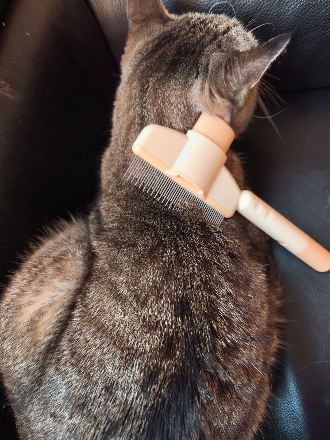 Customer photo review of Fur Lightning Brush