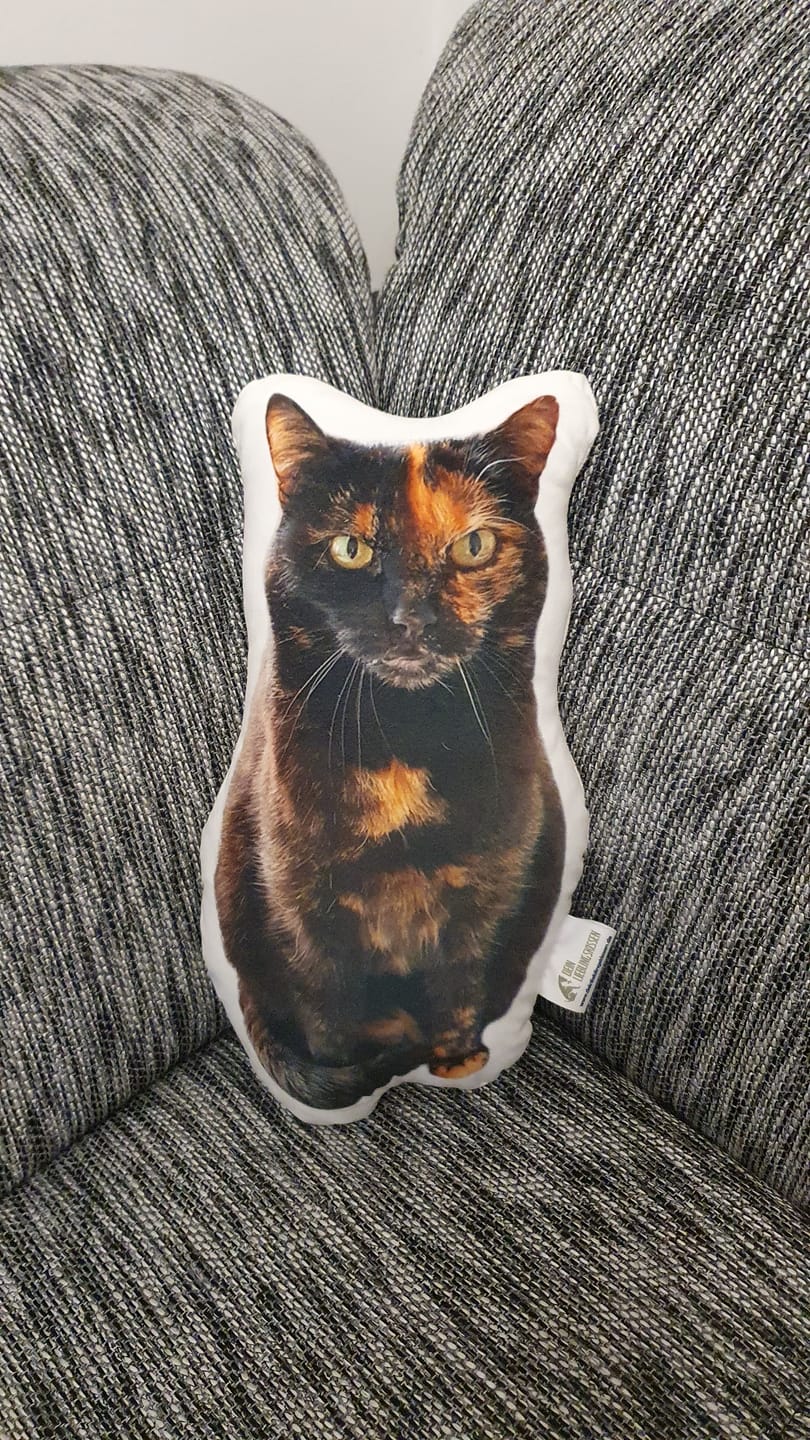 Customer photo review of Personalisiertes Katzenkissen