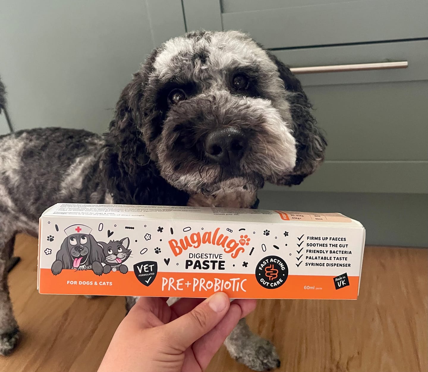 Customer photo review of Bugalugs Pre & Probiotic Digestive Paste for Dogs & Cats (30ml)