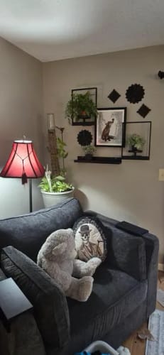 Customer photo review of Planty®