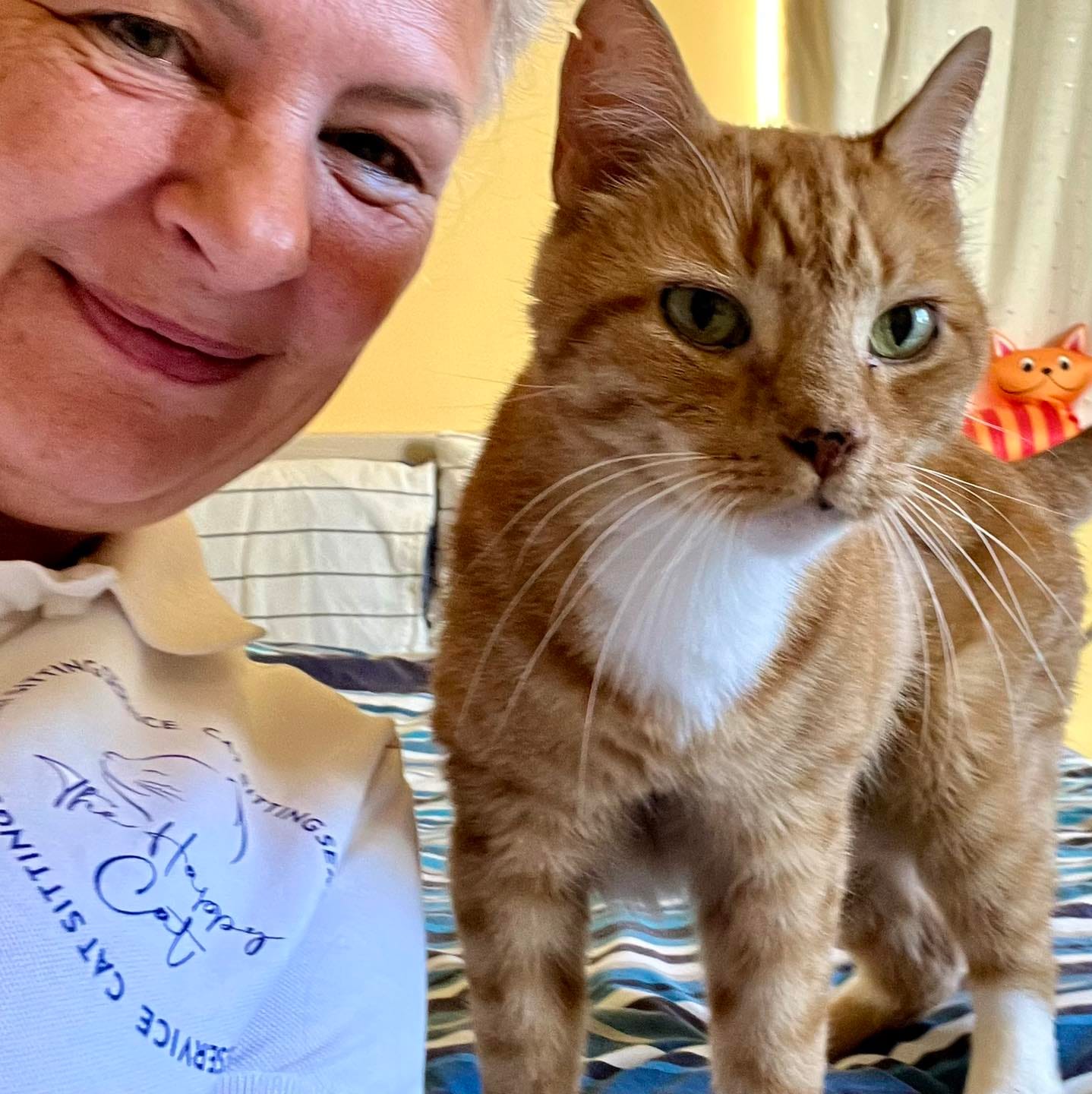 Customer photo review of Feline Biome™ - Probiotic Cat Supplement