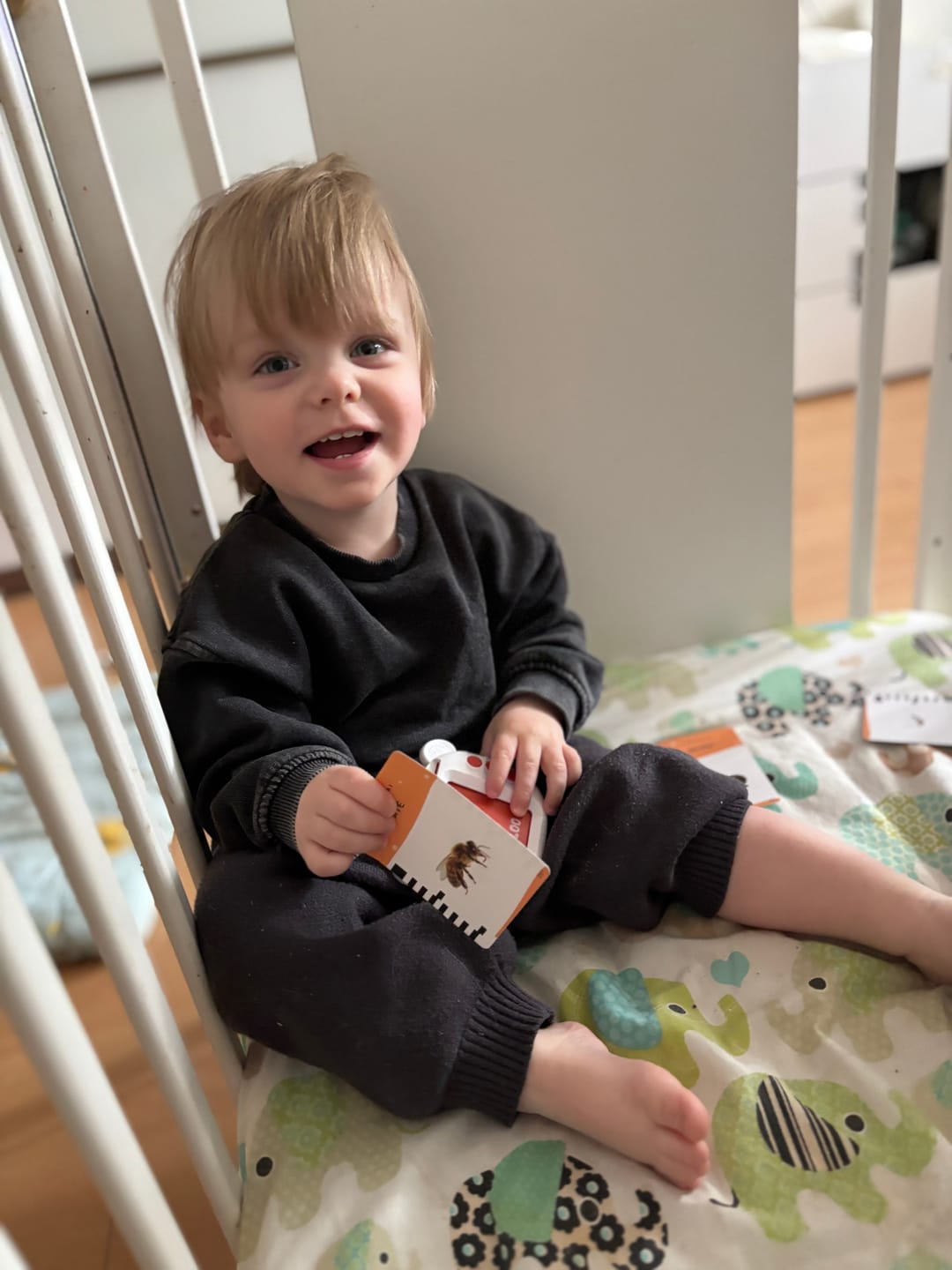 Customer photo review of „Luloo“ Lietuviškai įgarsintos lavinamosios kortelės vaikams, kalbančios lietuviškai