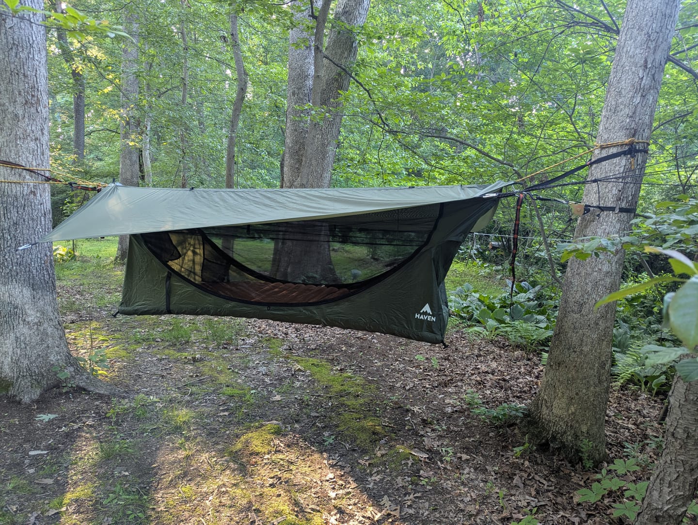 Customer photo review of Haven Tent