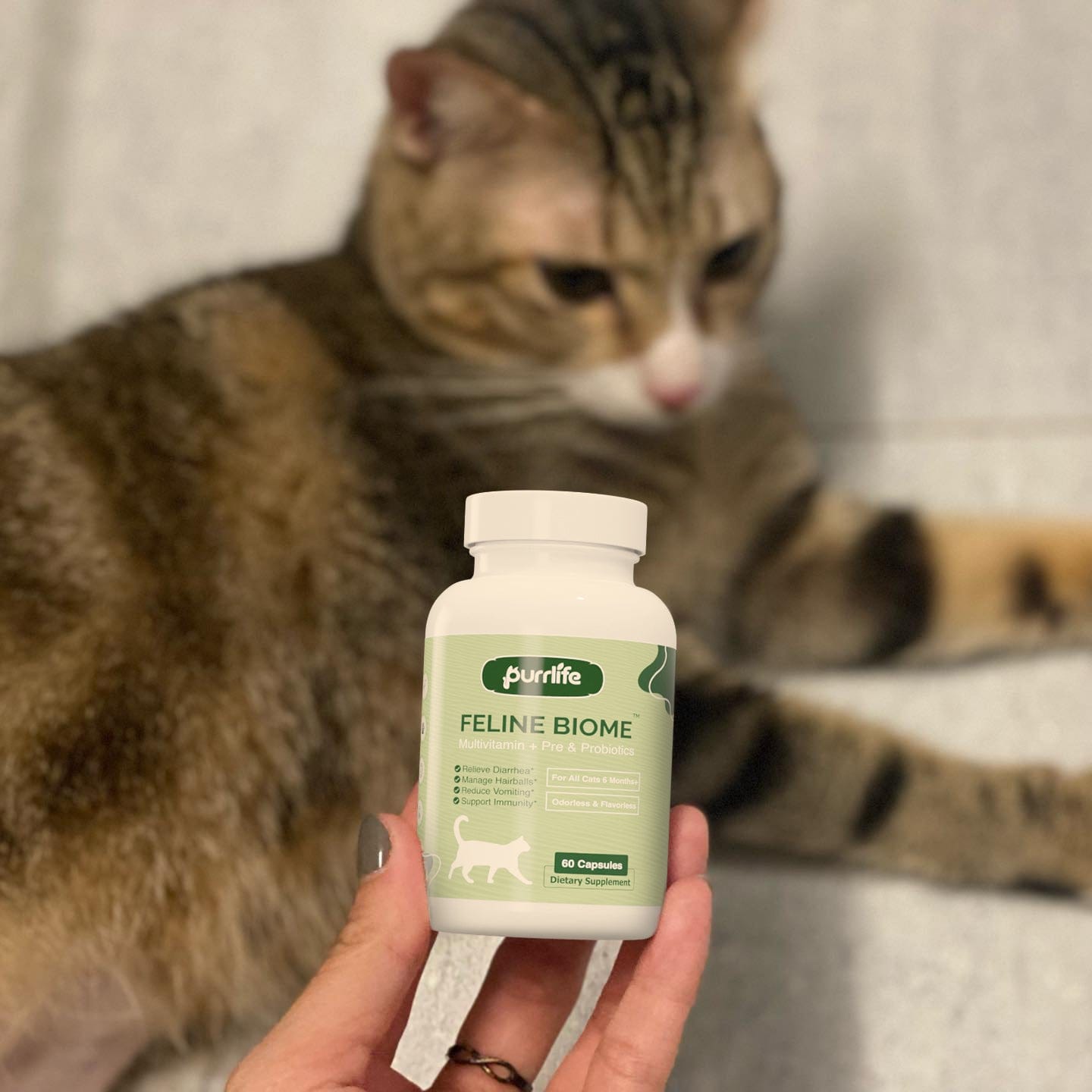 Customer photo review of Feline Biome™ - Probiotic Cat Supplement