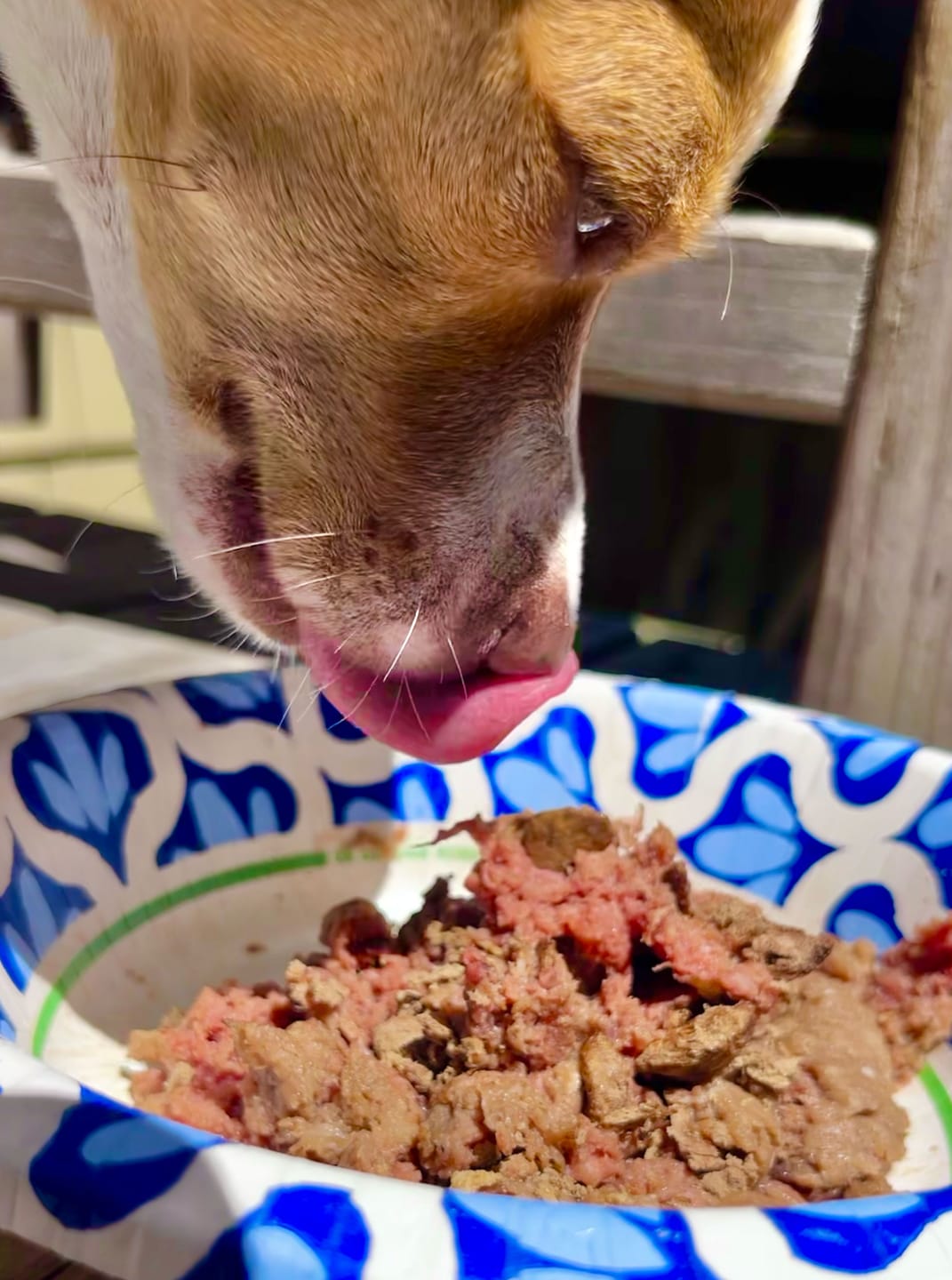 Customer photo review of Chicken Mix PMR
