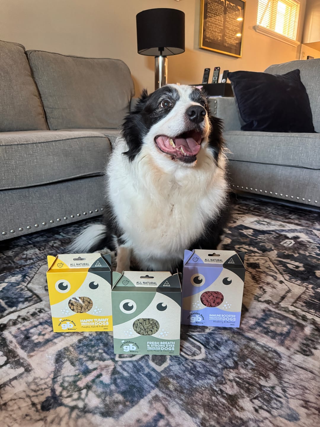 Customer photo review of Awesome Superfood Dog Treat Bundle