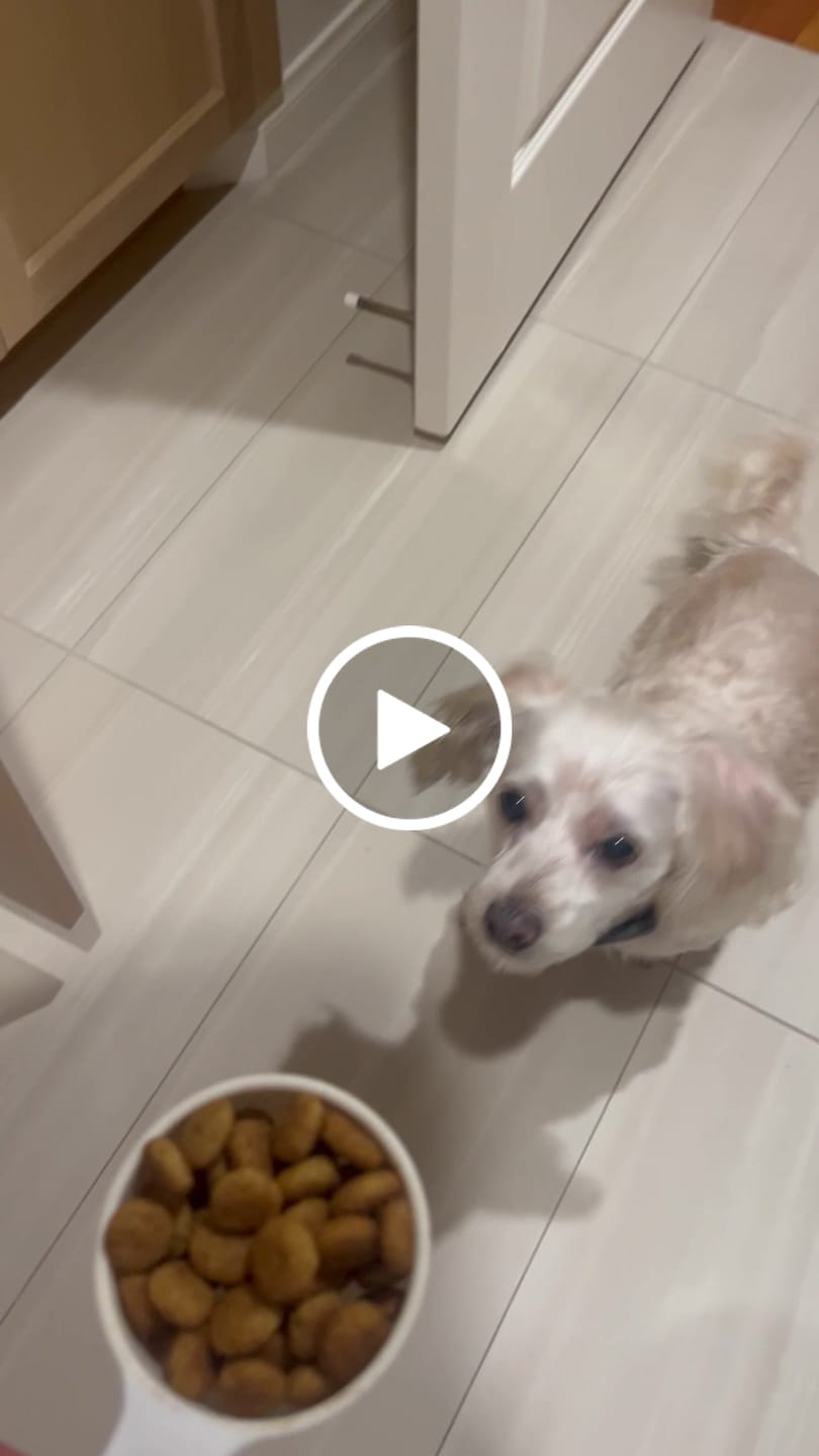 Customer video review of Royal Canin Gastrointestinal Low Fat + Hydrolyzed Protein Dry Dog Food