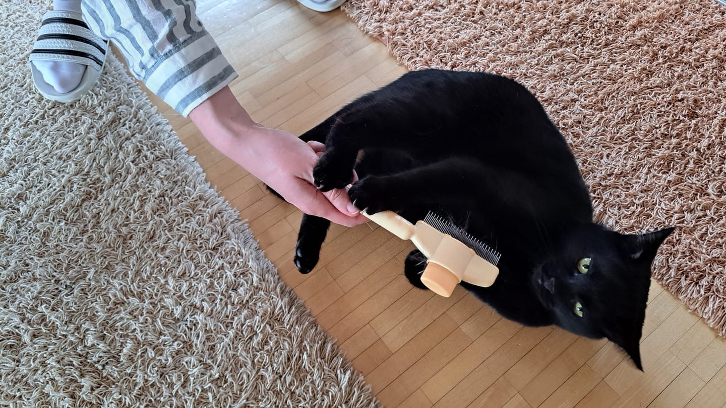 Customer photo review of Fur Lightning Brush