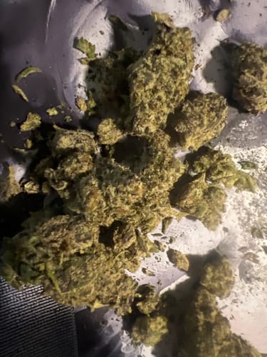 Customer photo review of Coffin Candy - Bulk - Hybrid