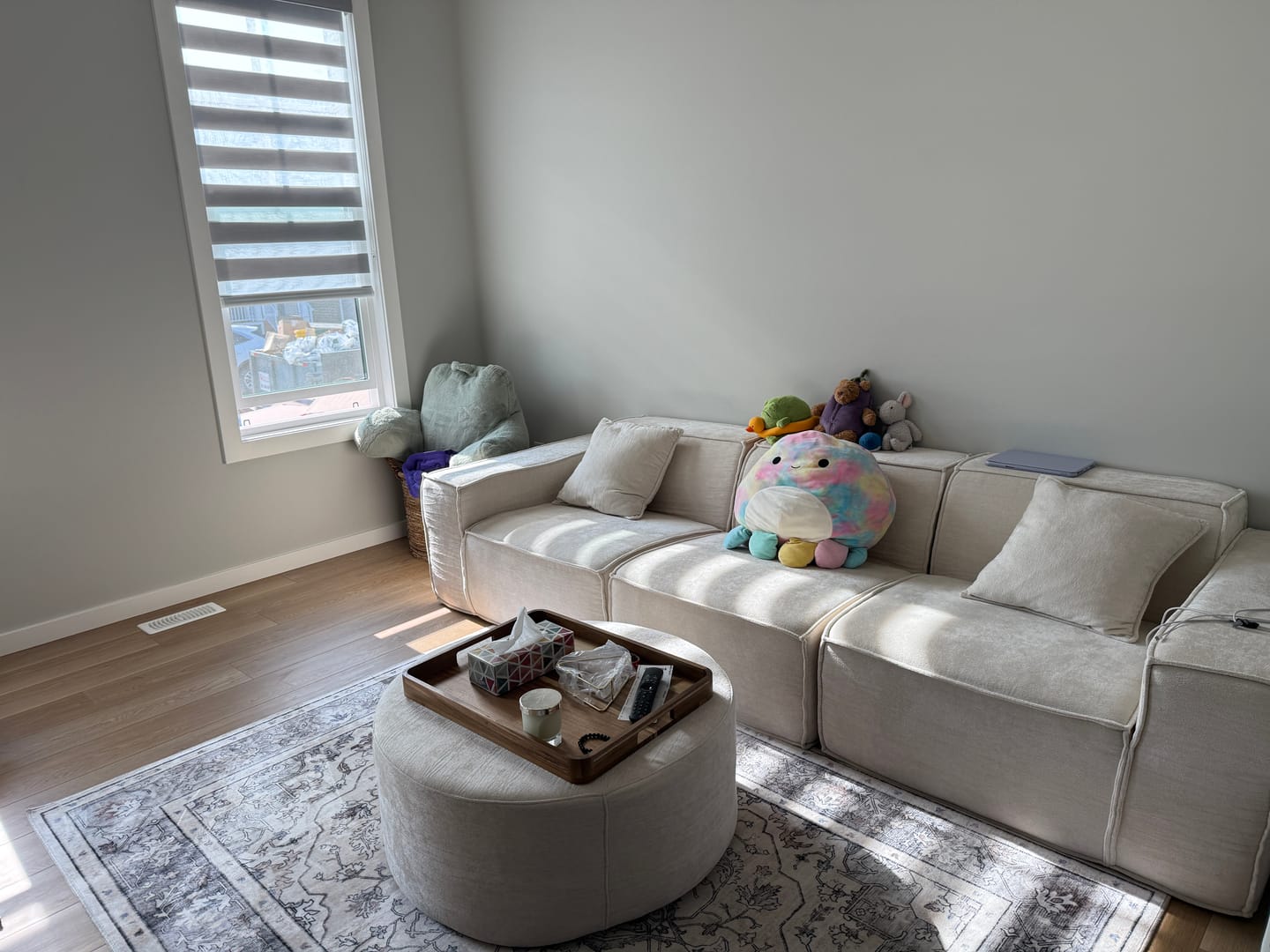 Customer photo review of M1 Sofa Three Seater