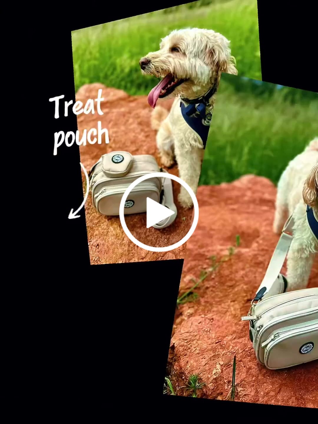 Customer video review of Dog Walking Bag - Latte with Latte Strap