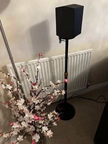 Customer photo review of Master SS08 Speaker Stand