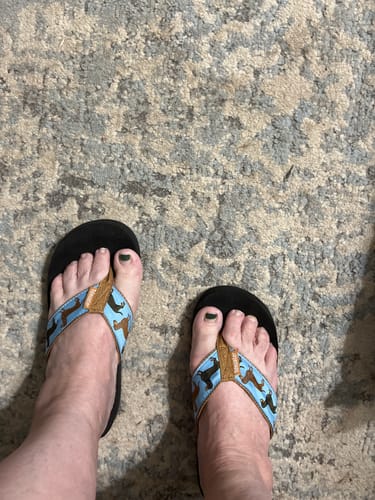 Customer photo review of Dachshunds