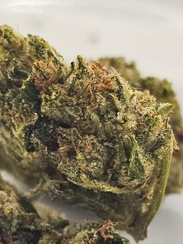 Customer photo review of Strawberry Cough THCA Flower