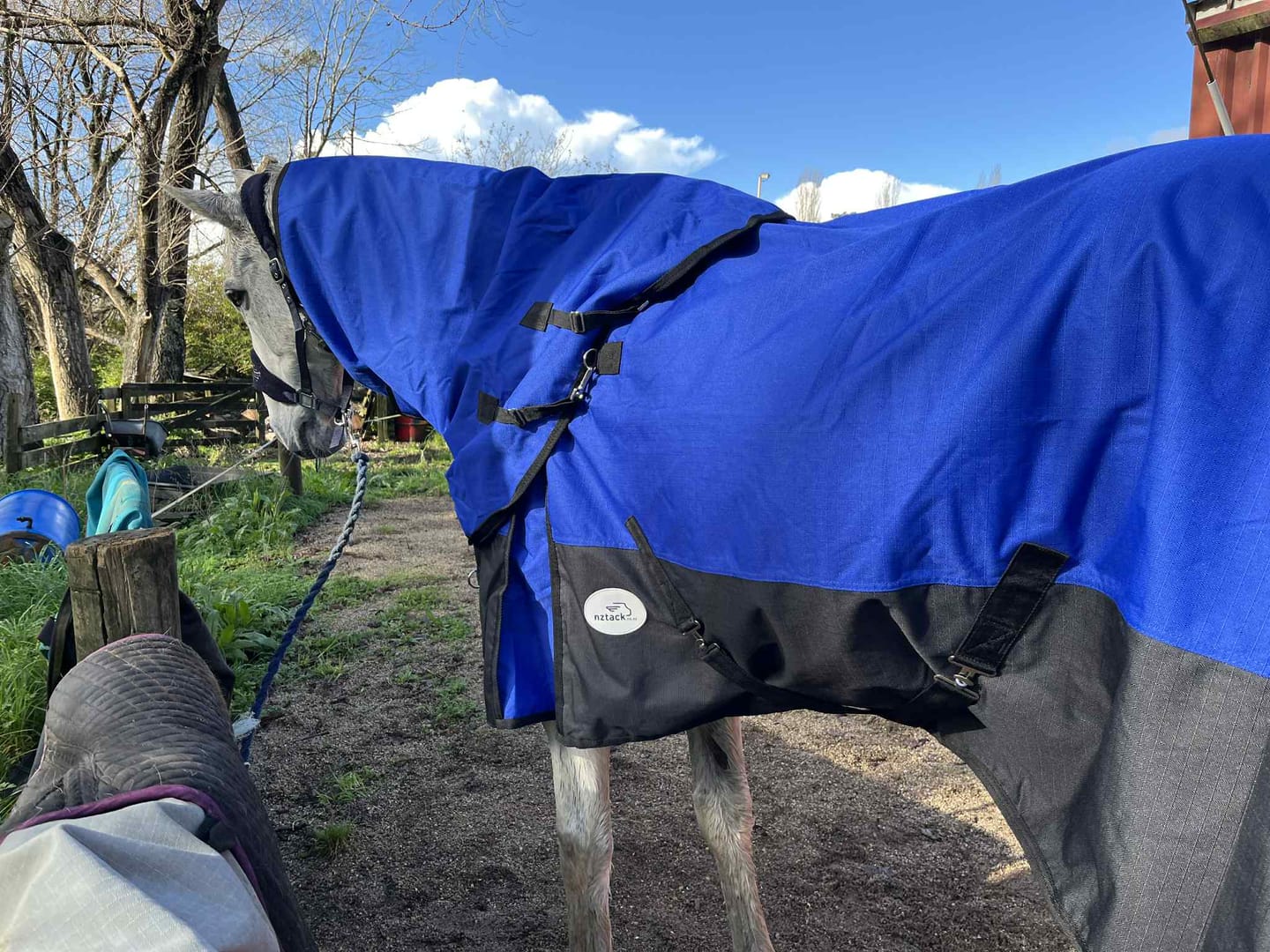 Customer photo review of Duke 1200d Detacha-neck