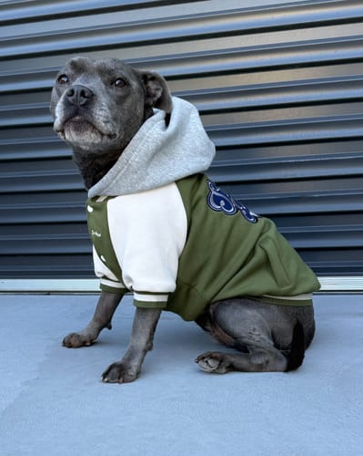 Customer photo review of Dog Varsity Jacket - Olive