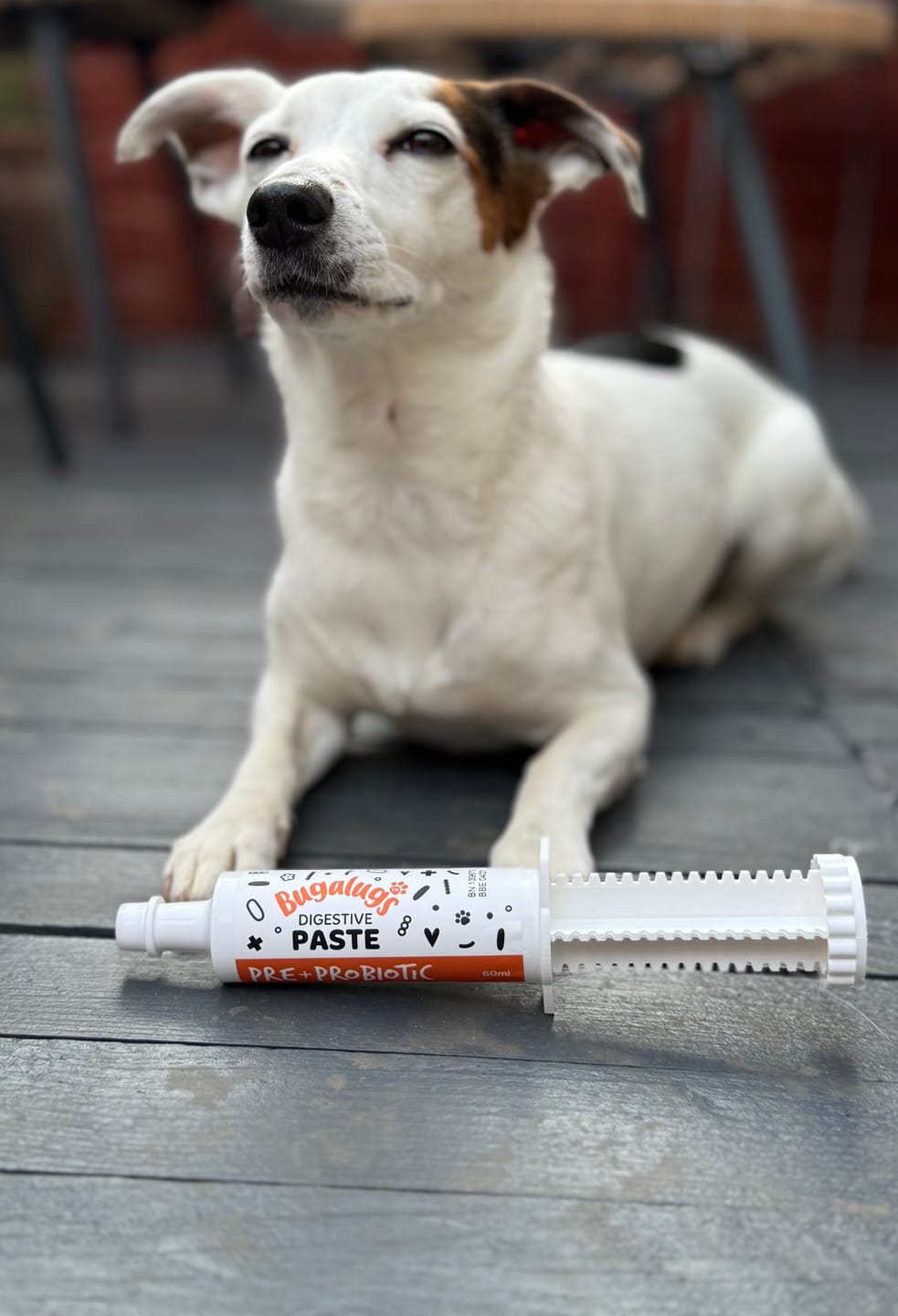 Customer photo review of Bugalugs Pre & Probiotic Digestive Paste for Dogs & Cats (30ml)