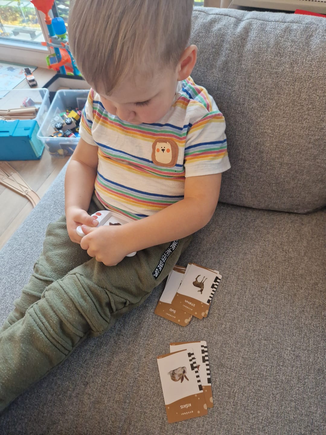 Customer photo review of „Luloo“ Lietuviškai įgarsintos lavinamosios kortelės vaikams, kalbančios lietuviškai