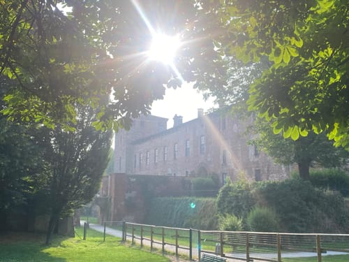 Fabio A. review of T-Shirt FRATTESI IMPLACABILE image 1 out of 1