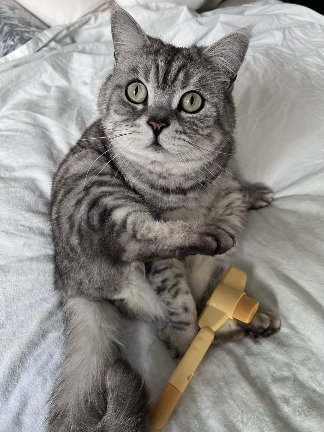 Customer photo review of Fur Lightning Brush